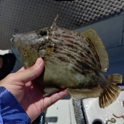 真夏のファミリー船キス