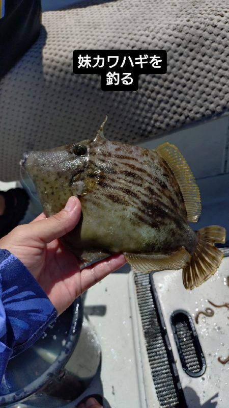 真夏のファミリー船キス