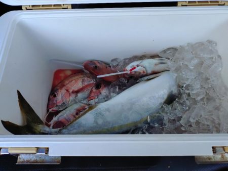 真夏のタイラバ