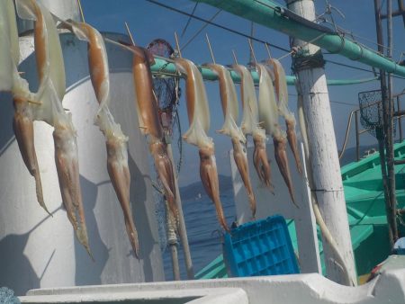 スルメイカ、黒ムツ