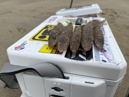 再度、唐津の浜に来てみました