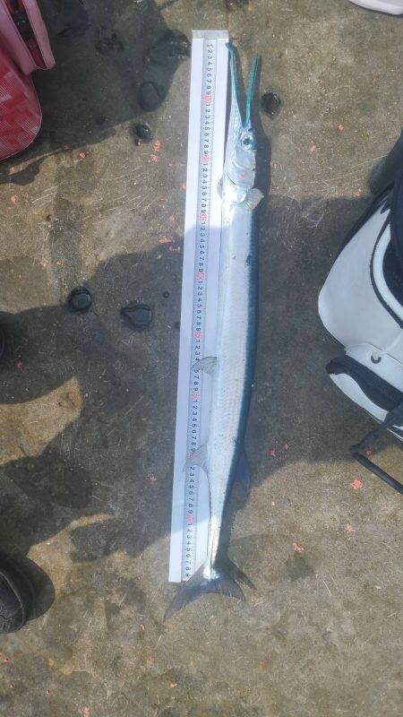 和歌山市江(吉丸渡船)で磯釣り