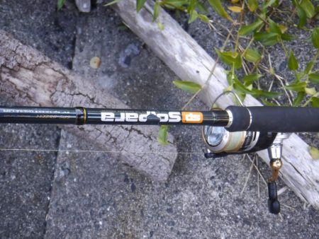 カツオが釣れました