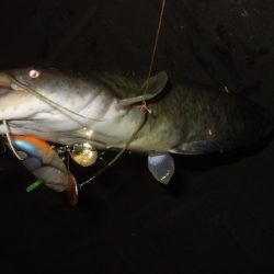 久々に奈良まで