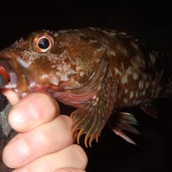 ぼちぼち厳しい