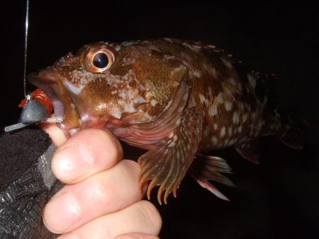 ぼちぼち厳しい