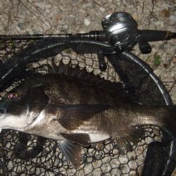 ハードルアーメインでチニング