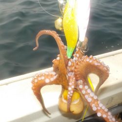 タコ第３戦〜盛和丸〜