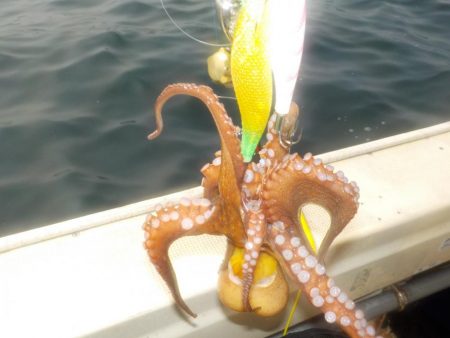 タコ第３戦〜盛和丸〜