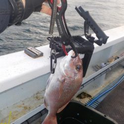 落とし込みリベンジマッチ　五目達成　きしゅう丸