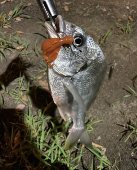 アーバンチニング①