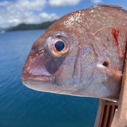 神谷荘さんでカゴ釣り