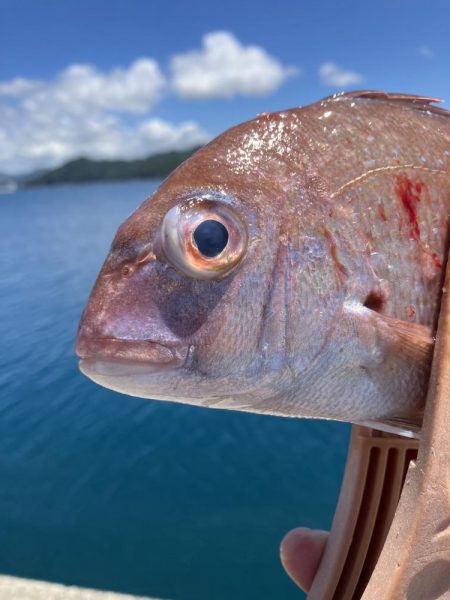神谷荘さんでカゴ釣り