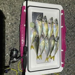 フロートアジング行ってきました