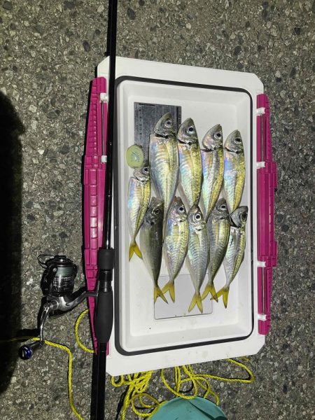 フロートアジング行ってきました