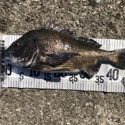 イチノ兄弟、釣果！