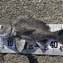 イチノ兄弟、釣果!