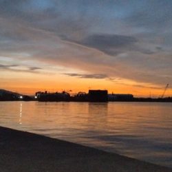 津名・志筑のキス調査