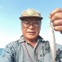 近場のキスが釣れません