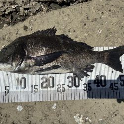 イチノ兄弟、７６匹！