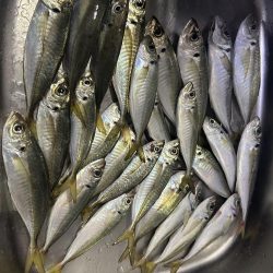 フロートアジング