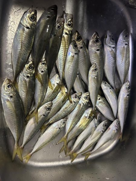 フロートアジング