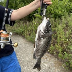 のんびり待つだけで入れ食い