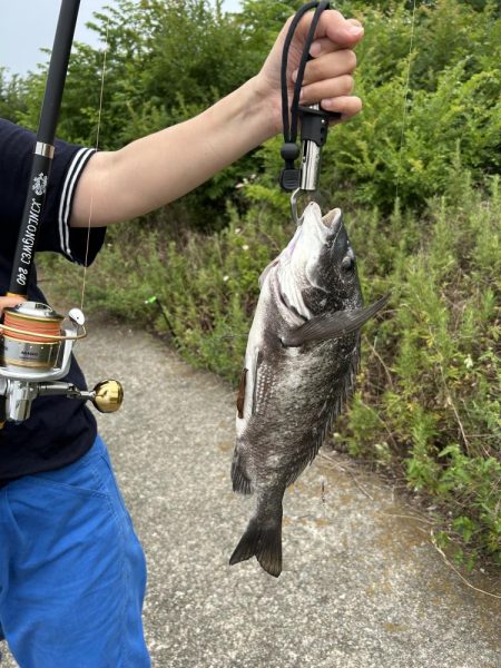 のんびり待つだけで入れ食い