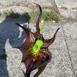 ブルーインパルス見ながらタコ釣り