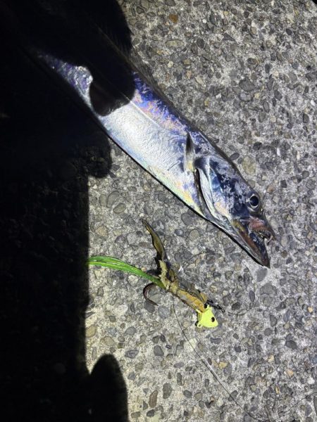 久しぶりの釣行