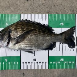 またもや最後に！