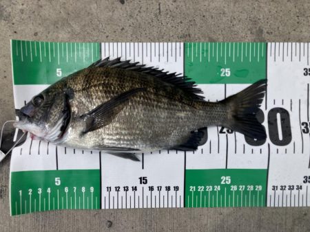 またもや最後に！