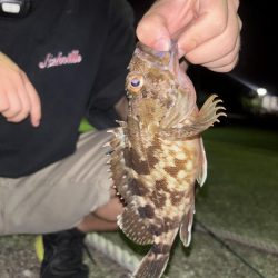 久しぶりの陸っぱり