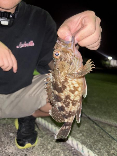 久しぶりの陸っぱり