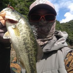 数釣りの日でした