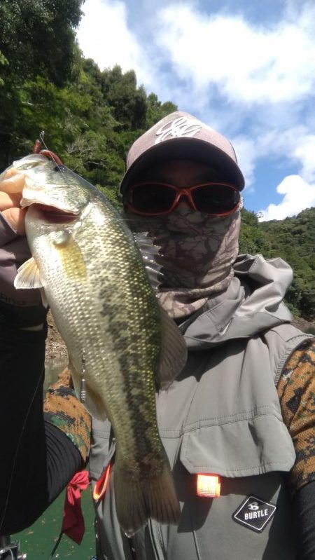 数釣りの日でした