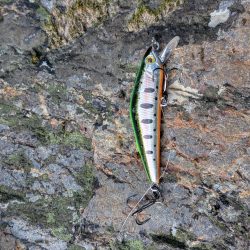 天川上流部で渓流ルアー釣り