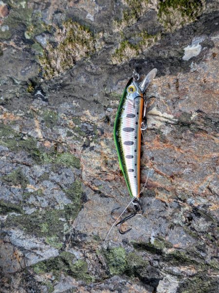 天川上流部で渓流ルアー釣り