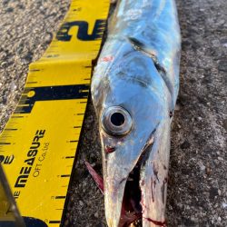 今年初釣果‼️