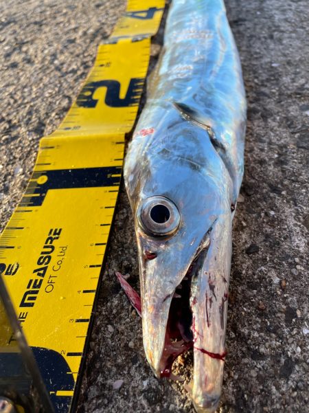 今年初釣果‼️