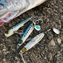 ショアジギング