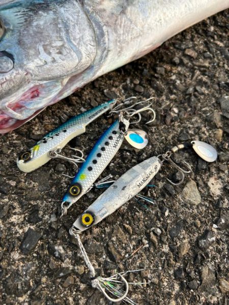 ショアジギング