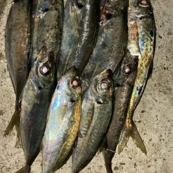 一斉清掃の前に