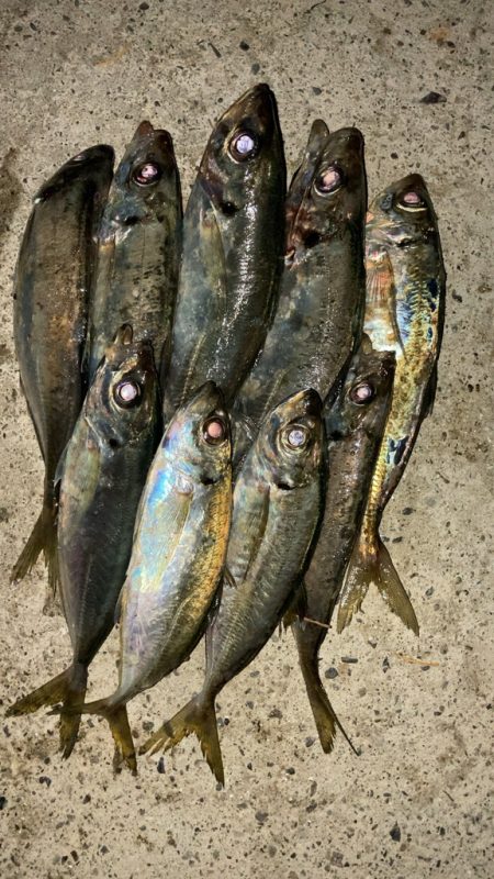 一斉清掃の前に