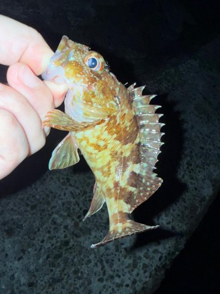 疲れた身体に癒しを求めて…