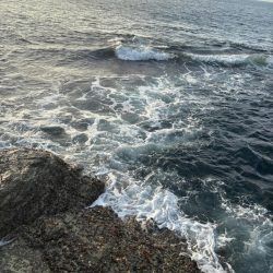 狙い通りと嬉しい外道