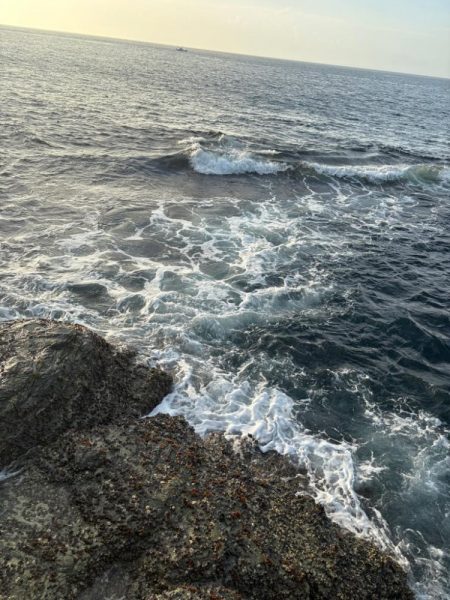 狙い通りと嬉しい外道