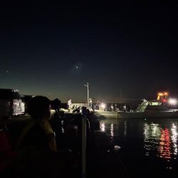 昨日よりダメ！