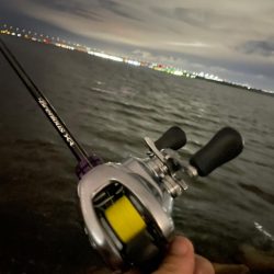 淀川ブリームゲーム