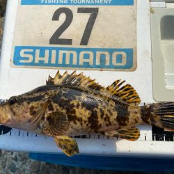 シロギスタの10種達成トリプルG